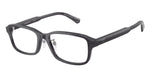 5029 - Shiny Transparent Grey / Demo Lens