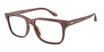6203 - Shiny Havana Brown / Transparent