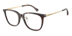 5026 - Shiny Havana / Demo Lens