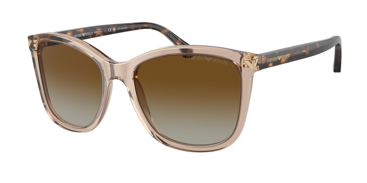 5850T5 - Transparent Tundra / Gradient Brown Polarized