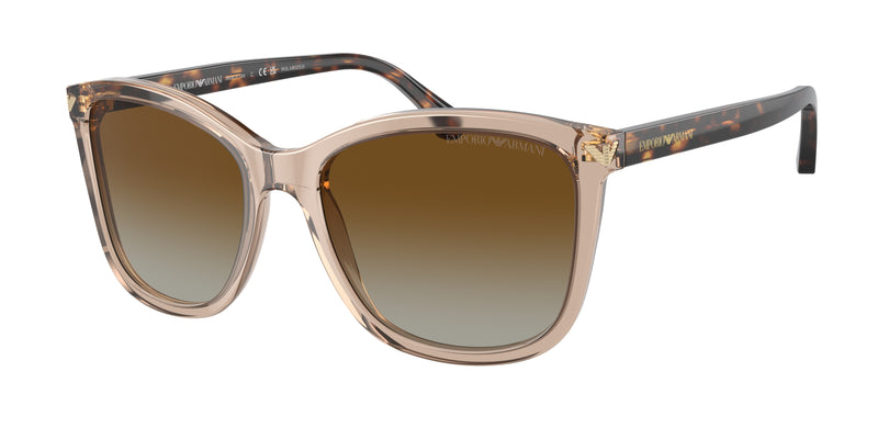 5850T5 - Transparent Tundra / Gradient Brown Polarized