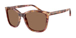 619673 - Shiny Havana Red / Dark Brown