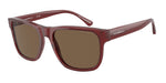 507573 - Transparent Bordeaux / Dark Brown