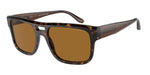 587983 - Havana / Brown Polarized
