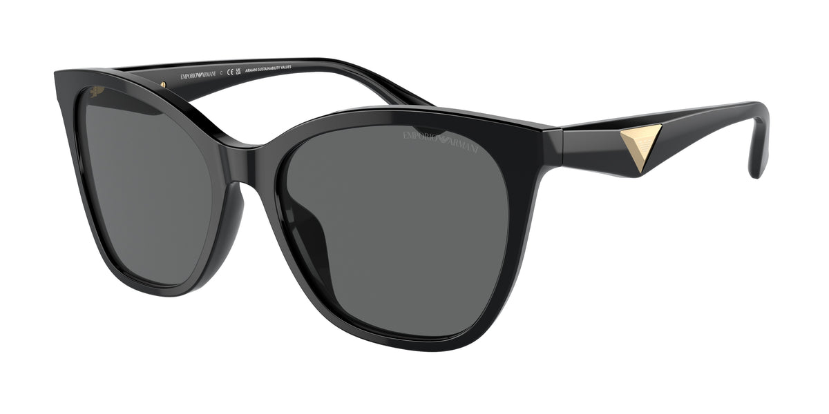 501787 - Shiny Black / Dark Grey