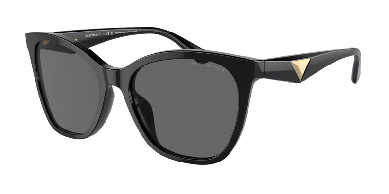 501787 - Shiny Black / Dark Grey