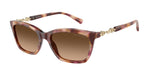 619674 - Shiny Havana Red / Gradient Brown
