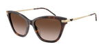 502613 - Shiny Havana / Brown Gradient