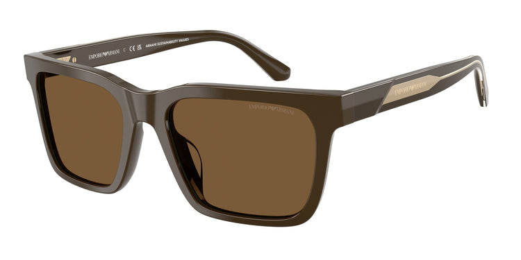 630773 - Shiny Brown / Brown