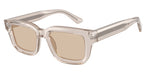 636393 - Shiny Transparent Tundra / Light Brown