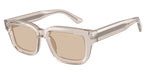 636393 - Shiny Transparent Tundra / Light Brown