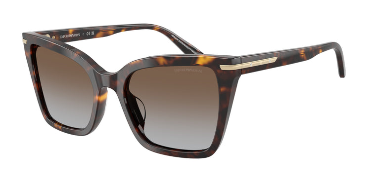 502689 - Shiny Havana / Grey Gradient Brown