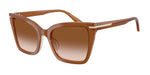637613 - Tobacco / Brown Gradient