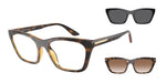 50261W - Shiny Havana / Clear