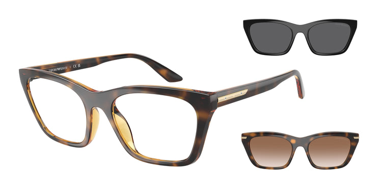 50261W - Shiny Havana / Clear