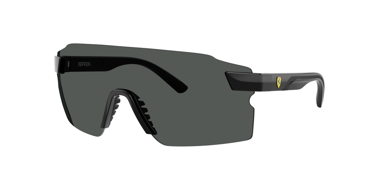 501/81 - Shiny Black / Polarized Dark Grey