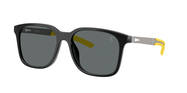 501/81 - Black Shiny / Dark Grey Polarized