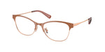 9331 - Nutmeg/Rose Gold / Transparent