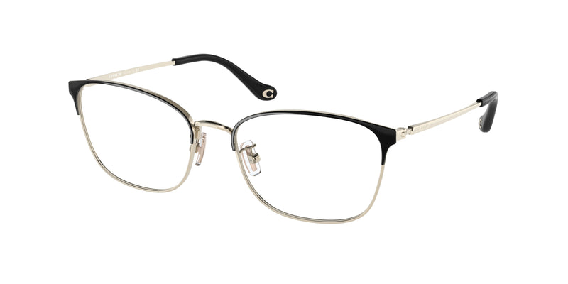 9346SB - Black/Light Gold / Clear + Blue Light + Etc