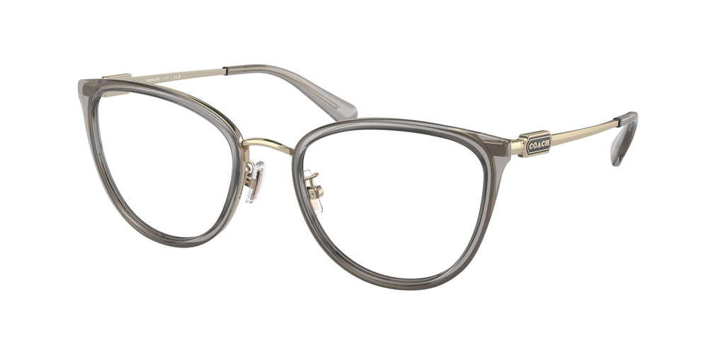 9417 - Transparent Grey / Demo Lens