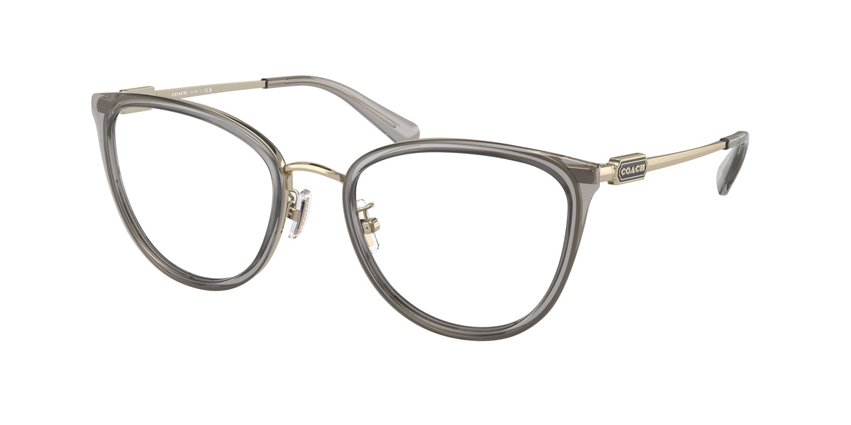 9417 - Transparent Grey / Demo Lens