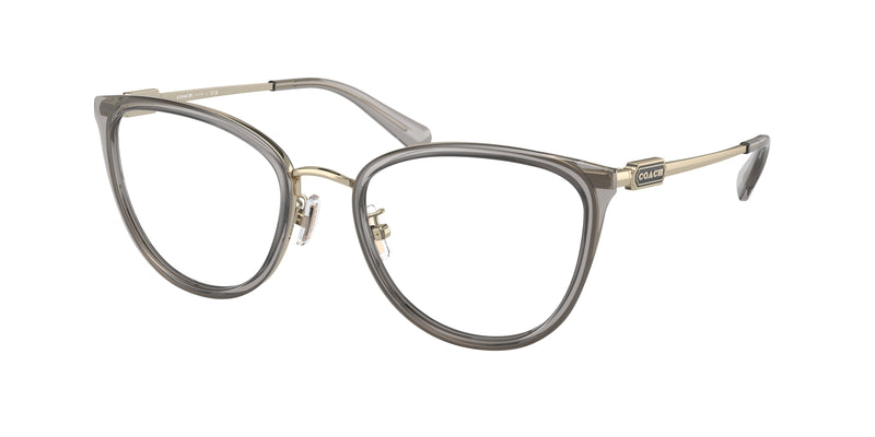 9417 - Transparent Grey / Demo Lens
