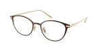 9405 - Shiny Dark Brown / Demo Lens