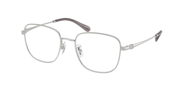 9001 - Shiny Silver / Demo Lens