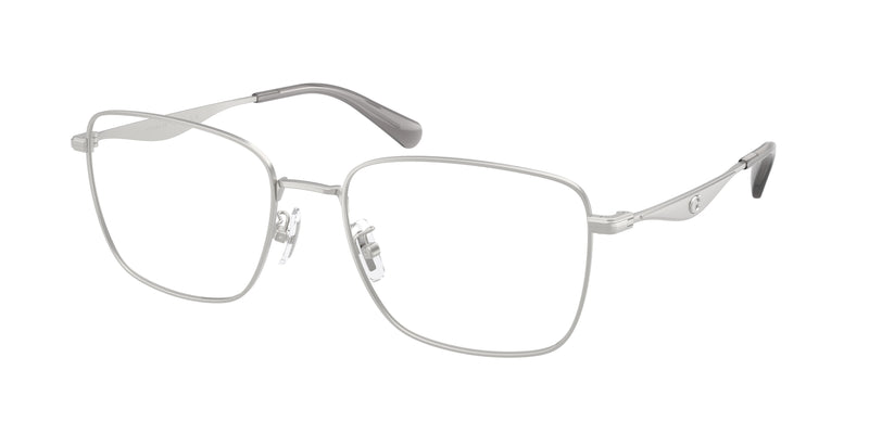 9001 - Satin Silver / Demo Lens
