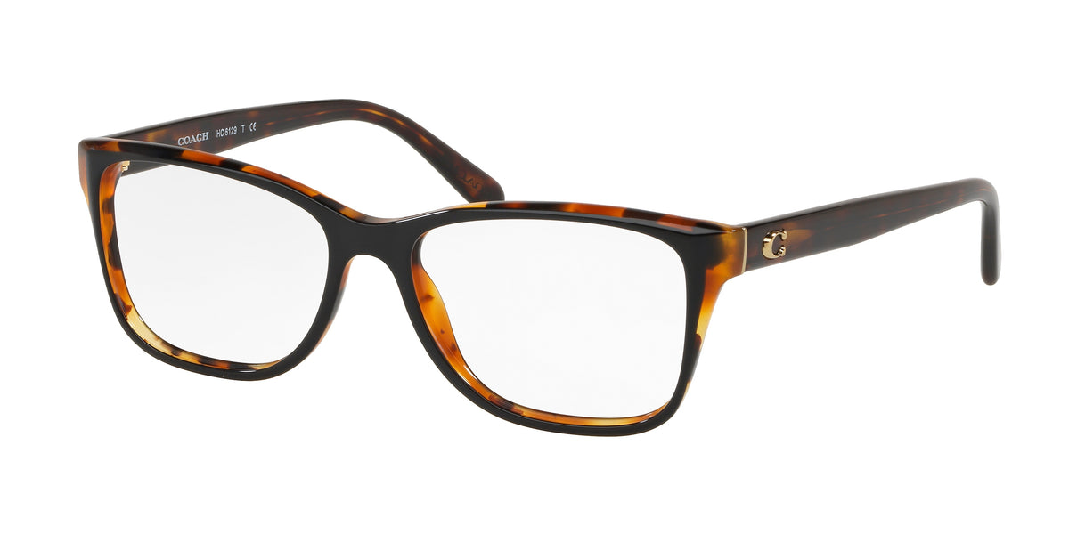 5446 - Black Tortoise Laminate / Demo Lens