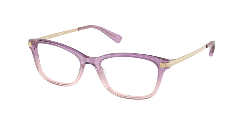 5813 - Amethyst/Pink Gradient / Demo Lens