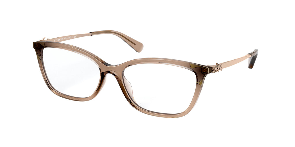 5561 - Transparent Brown / Demo Lens