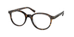 5120 - Dark Tortoise / Transparent