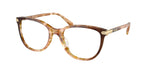 5775 - Caramel Snow Tortoise Gradient / Transparent