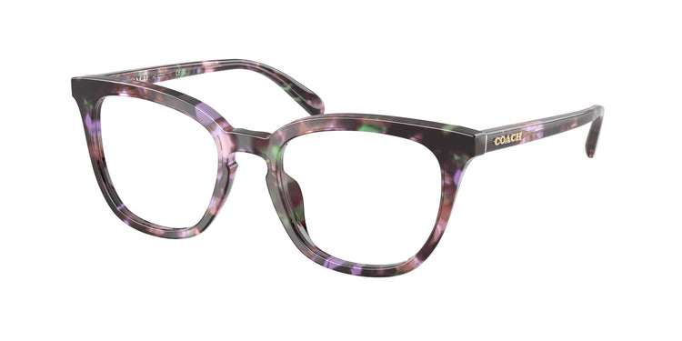 5843 - Amethyst Pearl Tortoise / Demo Lens