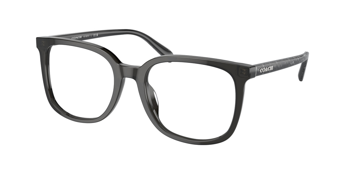 5793 - Transparent Dark Grey / Demo Lens