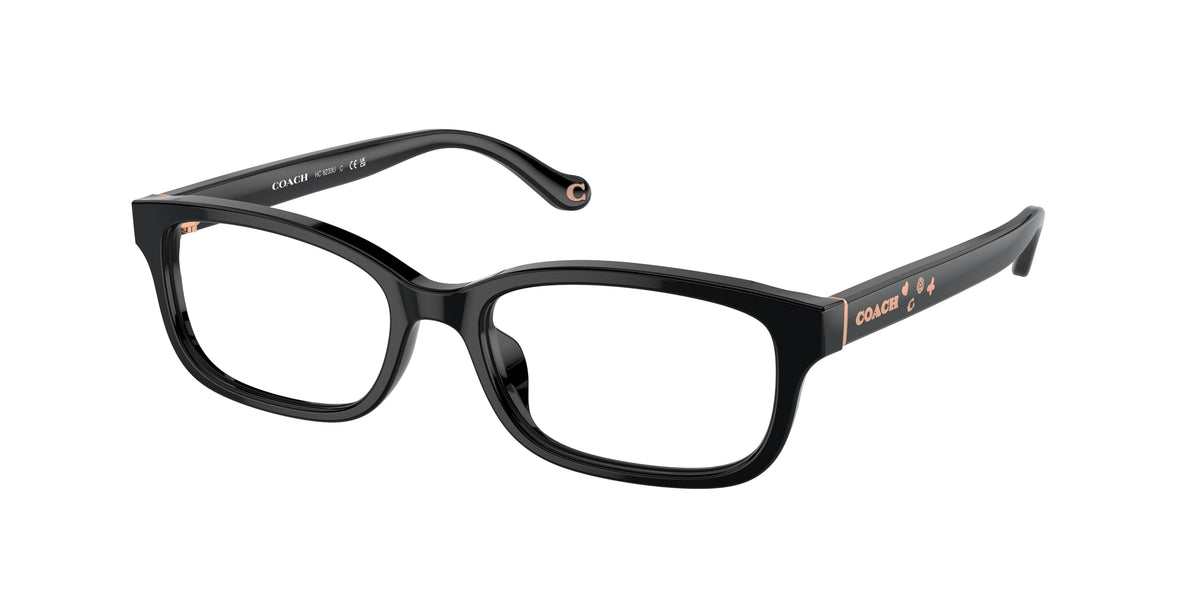 5002 - Black / Demo Lens