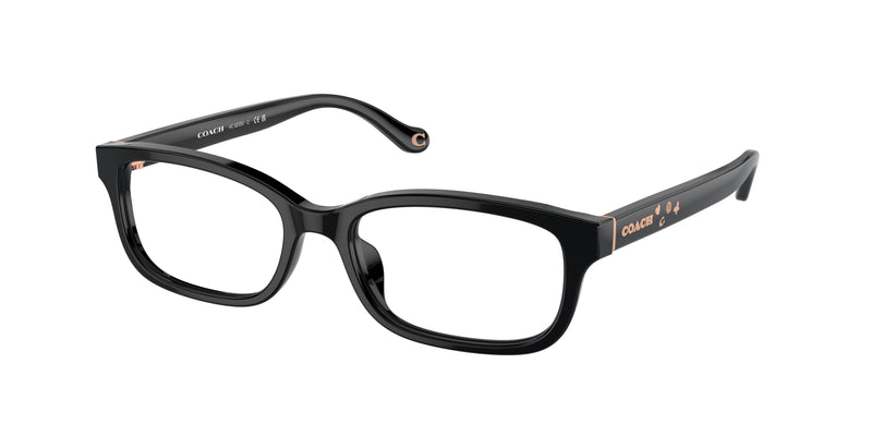 5002 - Black / Demo Lens