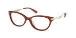 5847 - Transparent Brown / Transparent