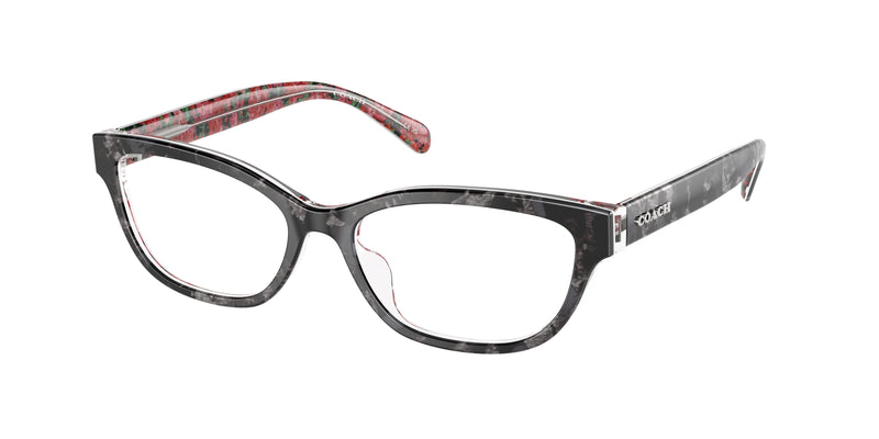 5856 - Black Tortoise/Pink Floral / Demo Lens