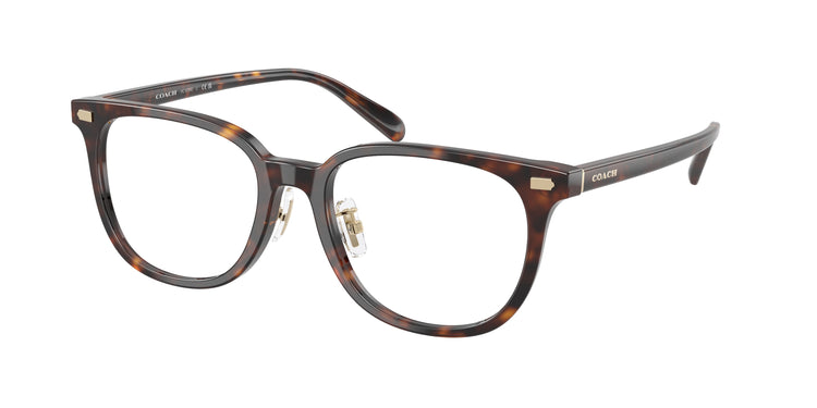 5120 - Dark Tortoise / Demo Lens