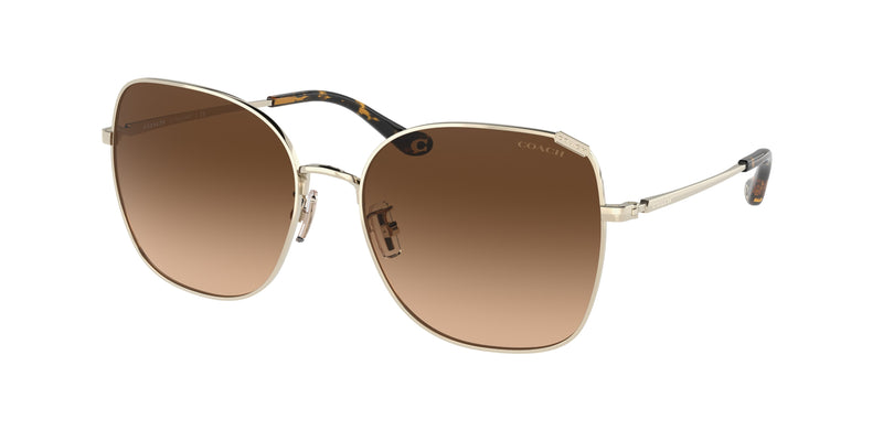 900574 - Shiny Light Gold / Dark Brown Gradient