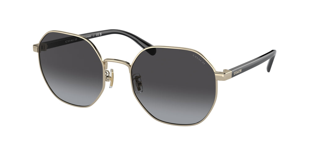 90058G - Shiny Light Gold / Grey Gradient