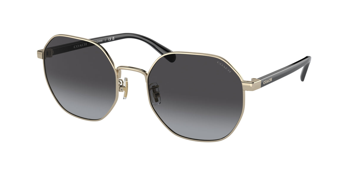90058G - Shiny Light Gold / Grey Gradient