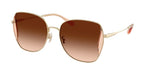 900574 - Shiny Light Gold / Champagne / Brown Gradient