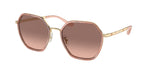 944413 - Shiny Light Gold / Brown Pink Gradient