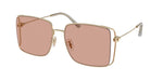 900584 - Shiny Light Gold / Pink
