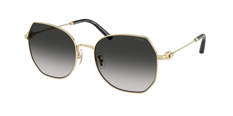 90053C - Shiny Light Gold / Grey Gradient