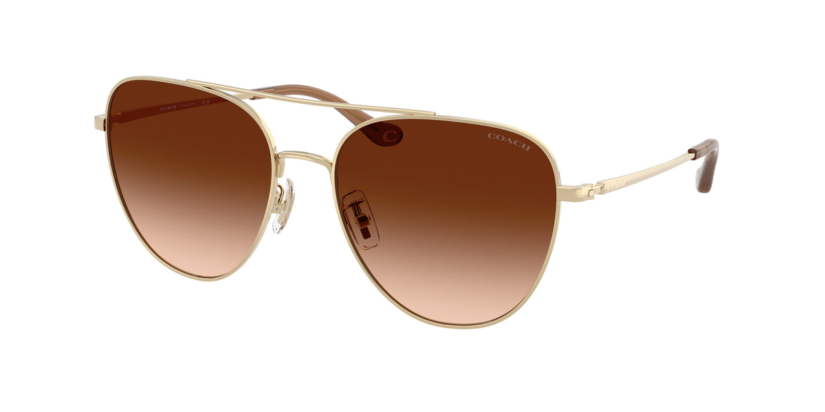900574 - Shiny Light Gold / Brown Gradient