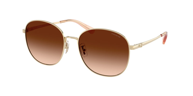 900574 - Shiny Light Gold / Brown Gradient